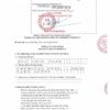 DSA – Chemical Peel – Skin Care Acnes (Peel mụn) 15gr - Hình ảnh 3